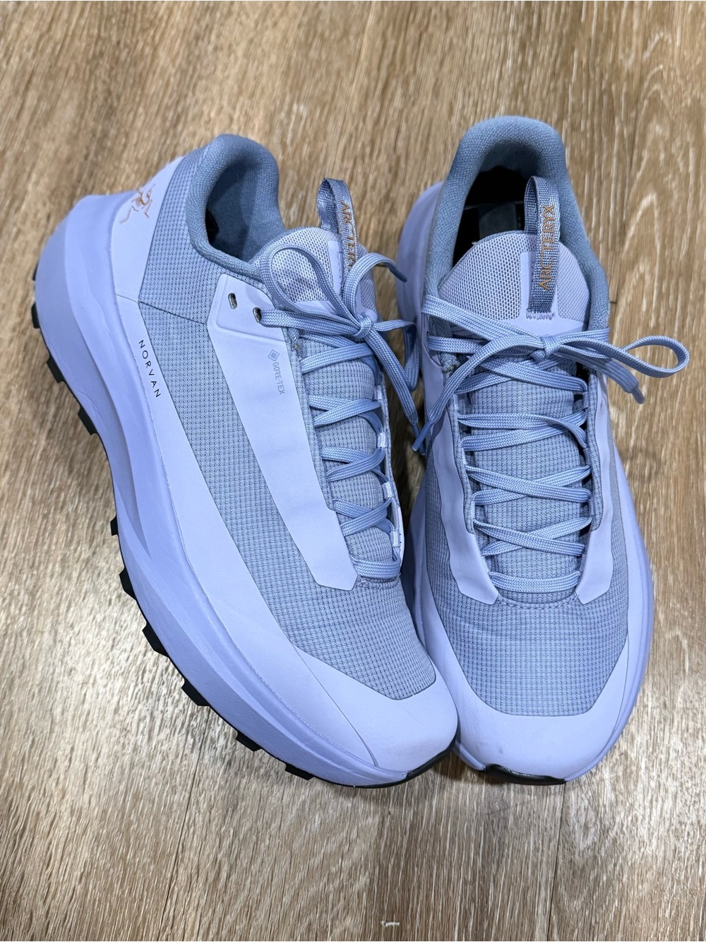 Arc’teryx Norvan Shoes